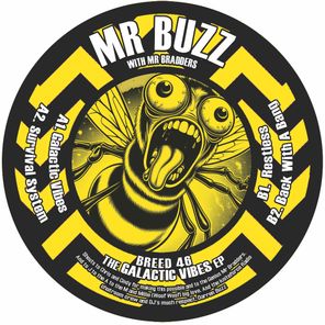 Mr Buzz, Mr Bradders – Back With A Bang