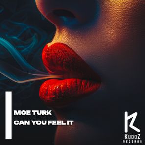Moe Turk – Can You Feel It