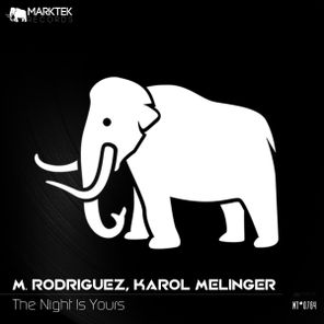 M. Rodriguez, Karol Melinger – The Night Is Yours
