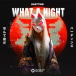 Harttins – What a Night