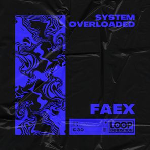 FAEX – System Overloaded