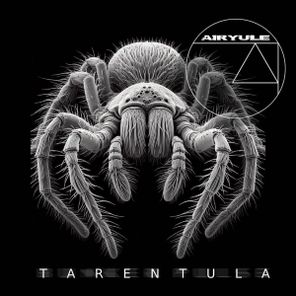 Airyule – TARENTULA