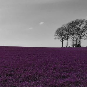 RAESA, Hinterlandgang – Kleinstadtfieber