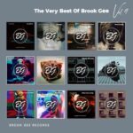 Javi Colina, Dario Nunez – The Very Best of Brook Gee, Vol. 4