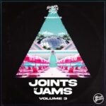 Michelle Weeks, Hotmood – Joints n’ Jams, Vol. 3 (Curated By Shaka Loves You)