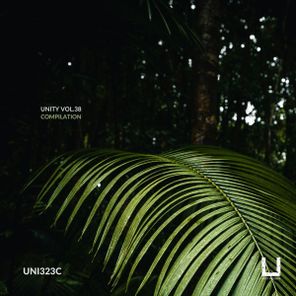 The Southern, Dani Sbert – Unity Vol.38 Compilation