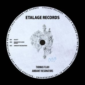 Thomas Flavi – Ambiant Resonators
