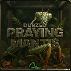 DubZed – Praying Mantis