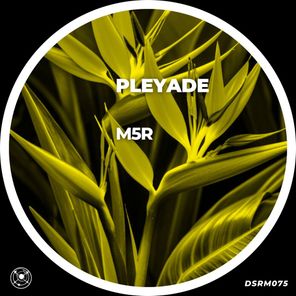 M5R – Pléyade