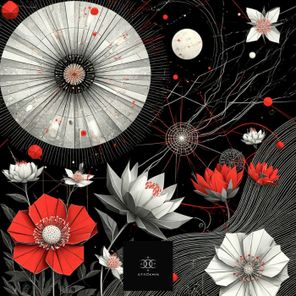 Susan Right – Ubuntu