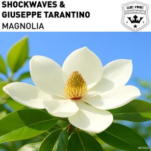 Shockwaves, Giuseppe Tarantino – Magnolia