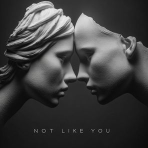 Dj Benzol – Not Like You