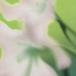 DJ FLIGHTMODE – Remedy