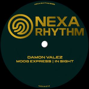 Damon Valez – Moog Express – In Sight