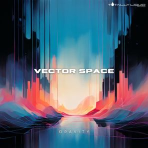 Gravity – Vector Space