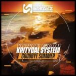 Kritycal System – Goodbye summer