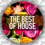 Ben Banjo Field, Roby Strauss – Jackpot Records The Best Of House