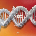 Noah Shah – Nikio