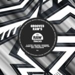 Sergiodnine, Flavor Plus – Grooves Raw’s