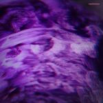 Leo Patt – Pourpre EP