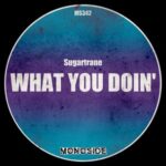 Sugartrane – What You Doin’