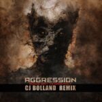 CJ Bolland, Rogue Unit – Aggression