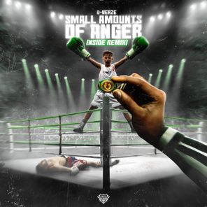 NSIDE, D-Verze – Small Amounts Of Anger (NSIDE Remix)