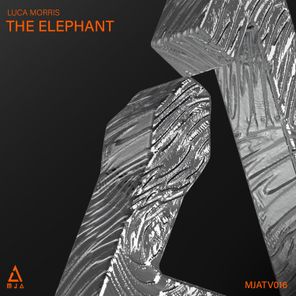 Luca Morris – The Elephant