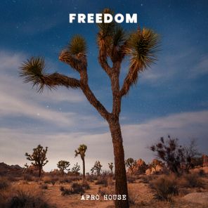 MR CAT, Drum Cat – Freedom