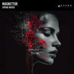 Magnettor – Spring Water