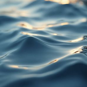 Sentic Cycle, Dkay – I thought this was real