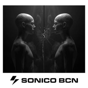 Sander de Vries – Module 98