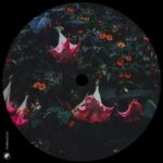 Harre, Marvin Boettcher – 5 Years 04177 Records