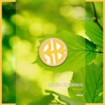 Maxim Kovalskiy – Hazel