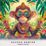 Tamer Fouda – Access Denied