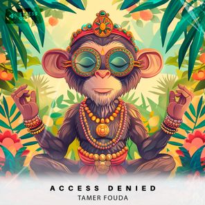 Tamer Fouda – Access Denied