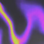 KLIO, Veedles Revenge – The World Is Yours