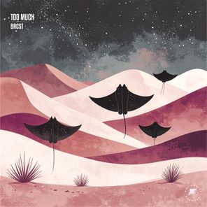 BRCST – Too Much