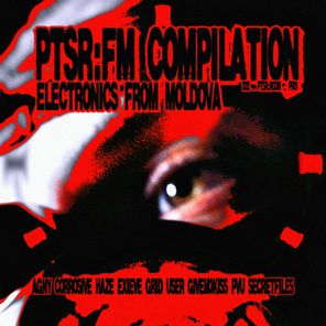 Exieve, SECRETFILES – PTSR:FM COMPILATION