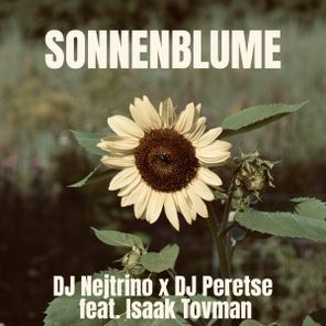 DJ Nejtrino, DJ Peretse – Sonnenblume