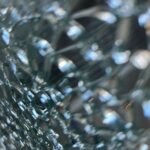 Swarm – Whorl