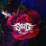 Sojo – Morning Noise