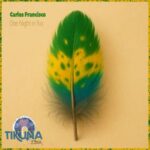 Carlos Francisco – One Night In Rio