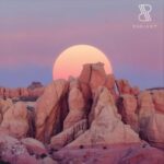 SilverFox (BR) – Magic Life