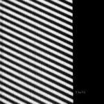 Raev – Dust & Motion