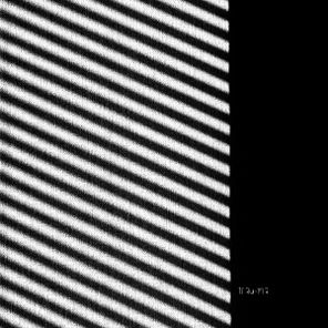Raev – Dust & Motion