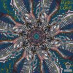 Teekoon – Echoes of Coral