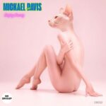 Mickael Davis – Enjoy Crazy