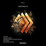 Hammerschmidt, Ricardo Preuten – Wavetable M