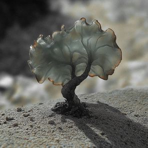 Justin Berkovi, Ignez – SMV013